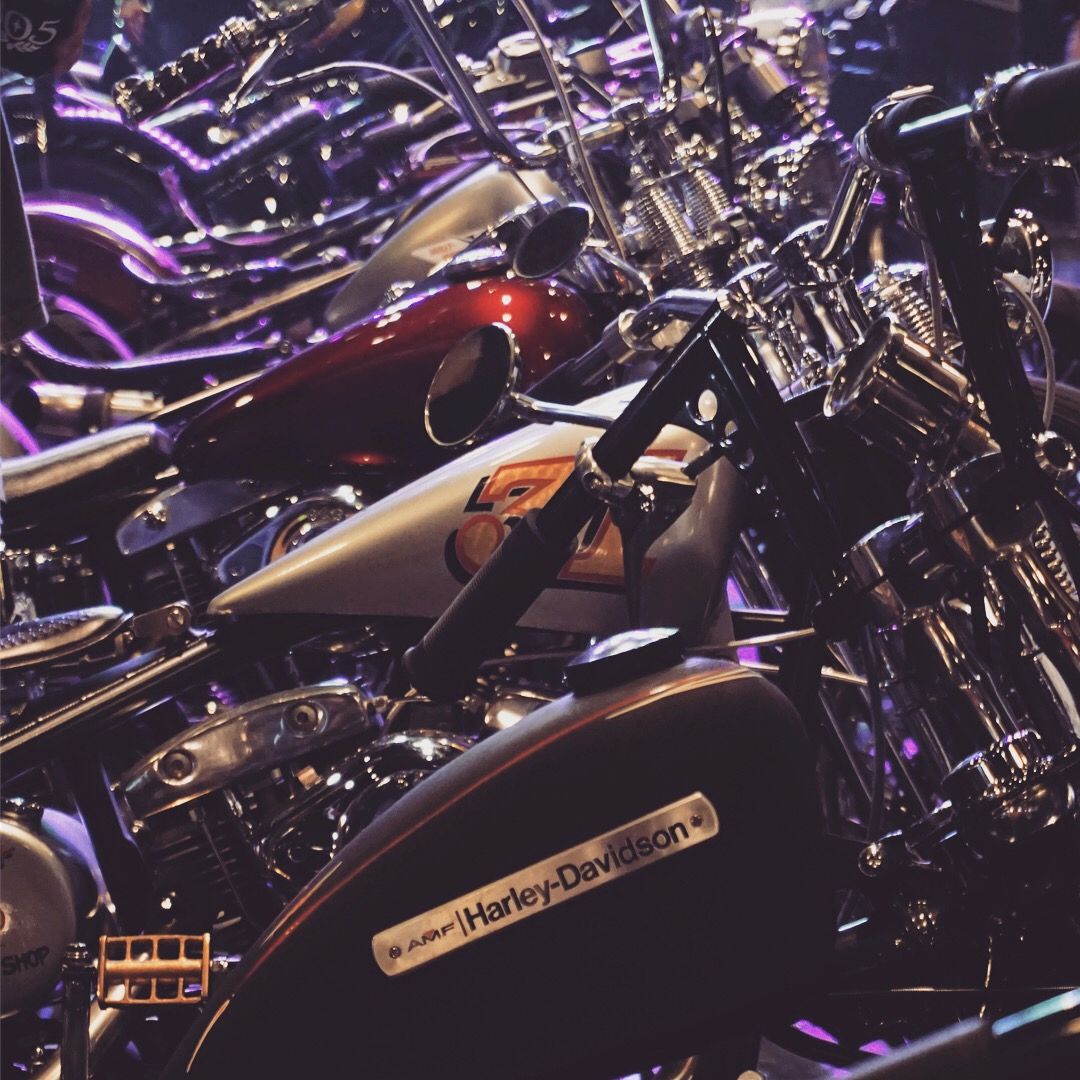 Ropa Harley-Davidson estilo y calidad